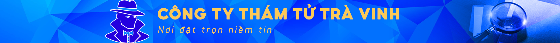 Công ty thám tử Trà Vinh